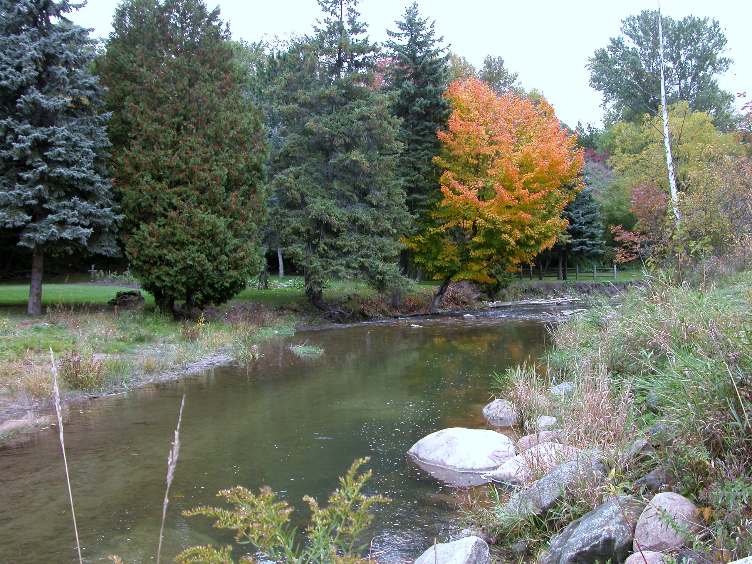Bowmanville Valley Trail Clean Up Bowmanville Valleys 2000